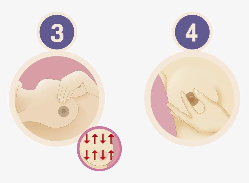 Circle, HD Png Download