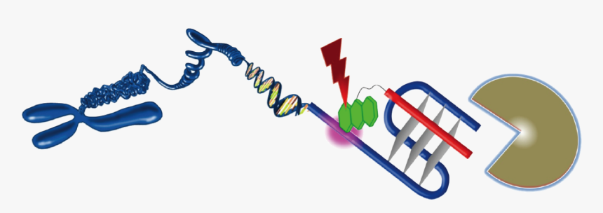 Clip Art, HD Png Download