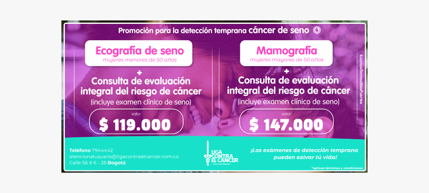 Guitar String, HD Png Download