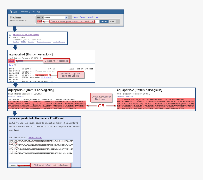 Screenshot, HD Png Download