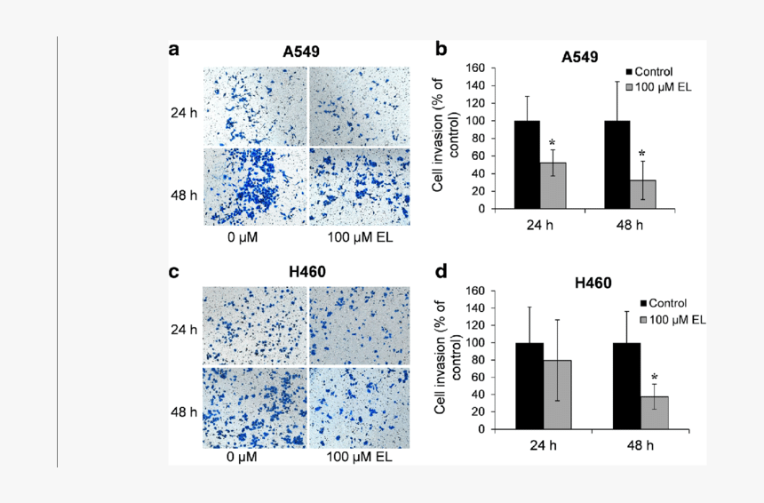 Diagram, HD Png Download