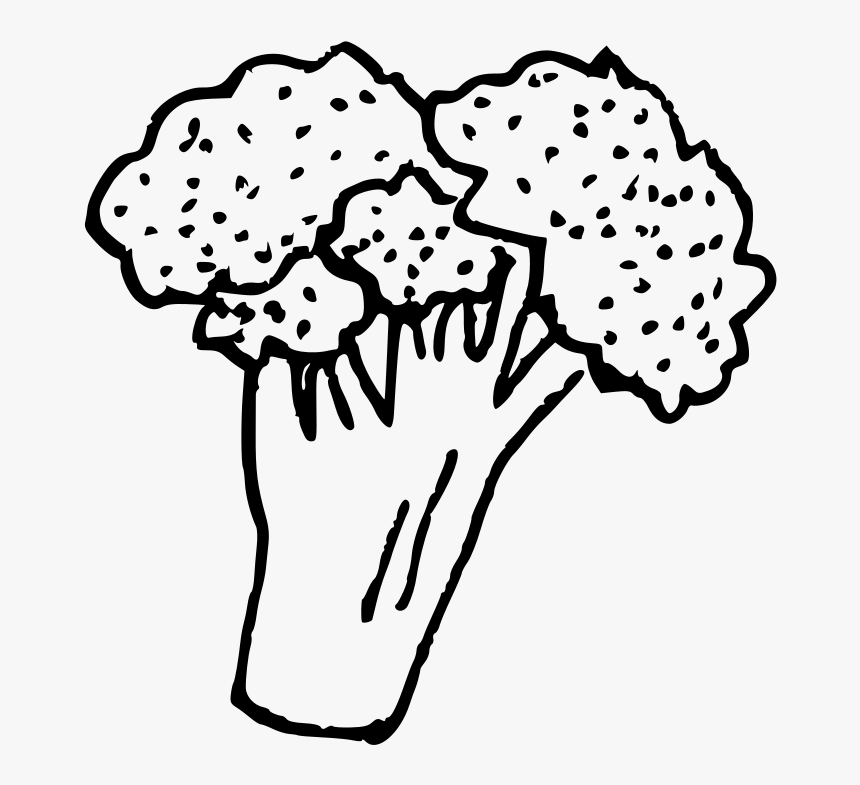 Transparent Broccoli Png - Line Art, Png Download