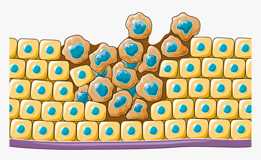 Smart Servier, HD Png Download