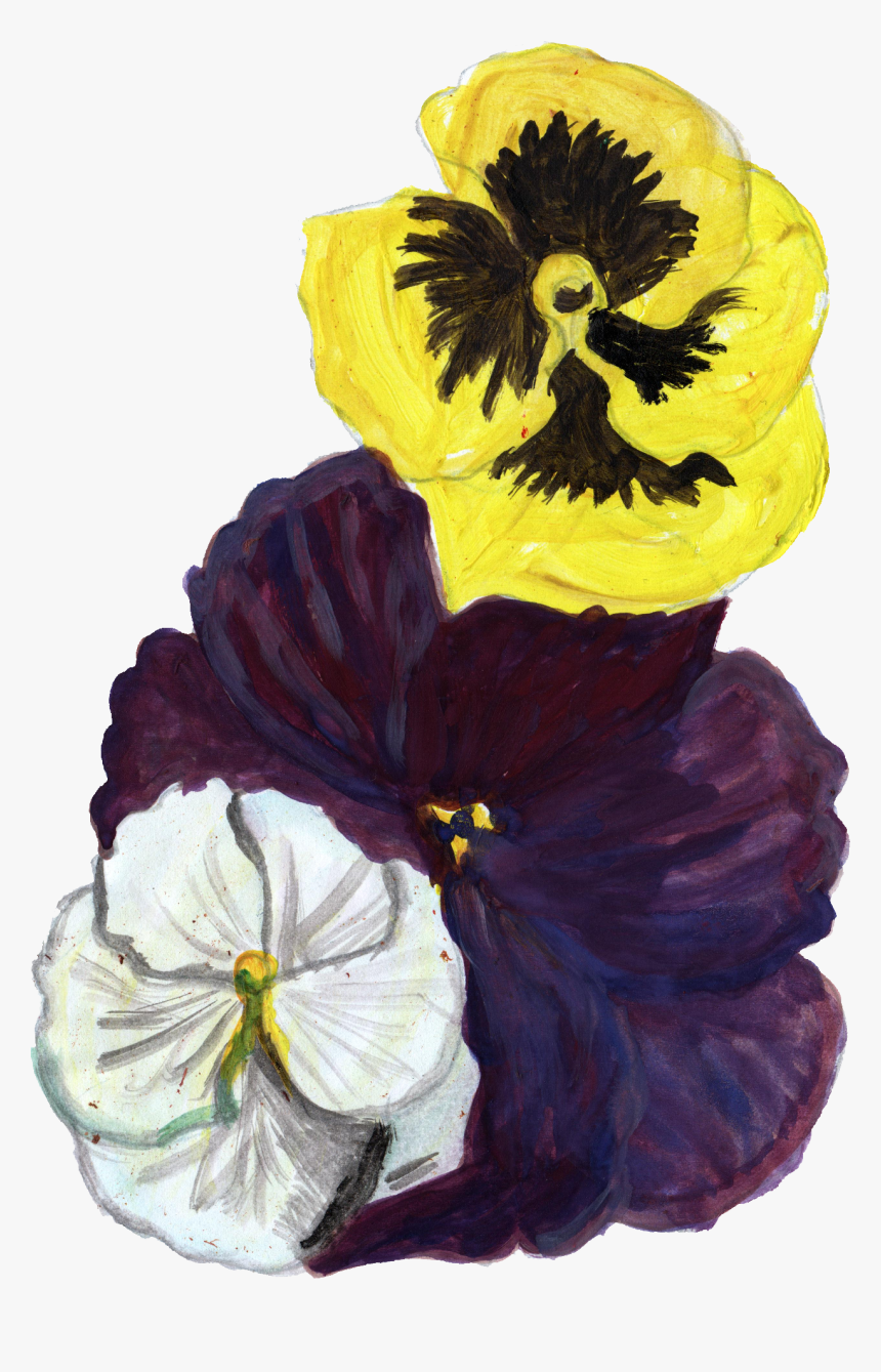 Trillium, HD Png Download