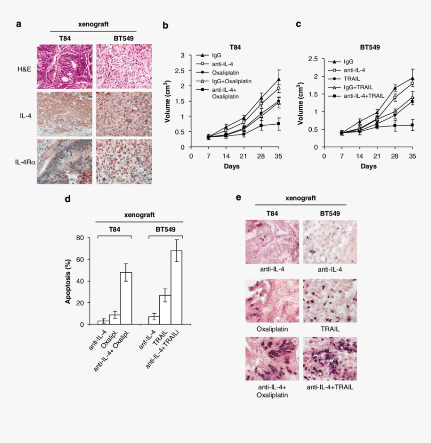 Diagram, HD Png Download