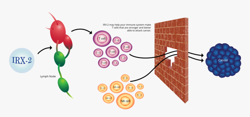 Illustration, HD Png Download