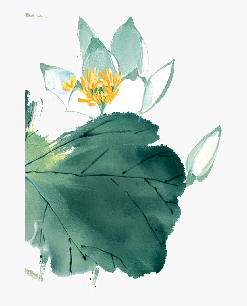 Chinese Painting Lotus Png - 荷花 水墨, Transparent Png
