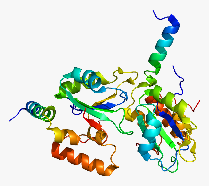 10, 24 December - Splicing Factor 3b Structure, HD Png Download