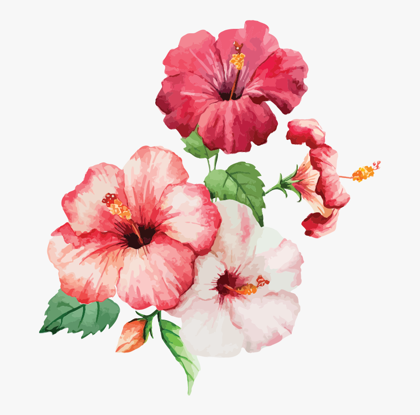Painting Watercolour Flowers, HD Png Download