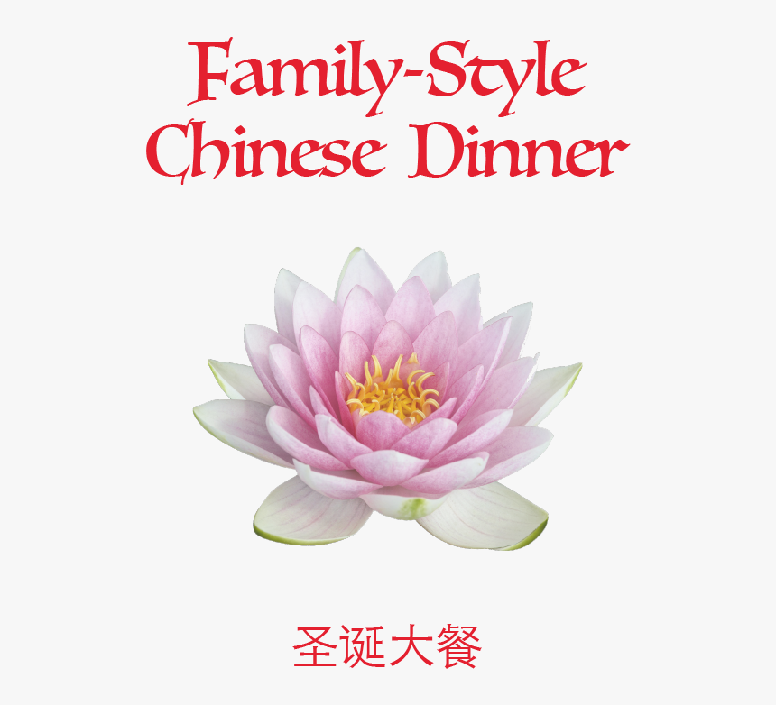 Lotus2, HD Png Download