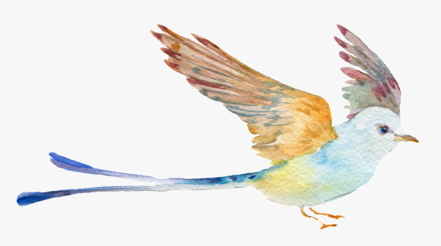 Hand Painted Watercolor Bird Png Transparent - Bluebird, Png Download