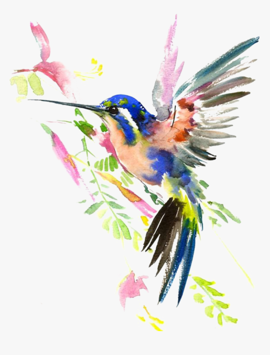 Ftestickers Watercolor Nature Hummingbird, HD Png Download