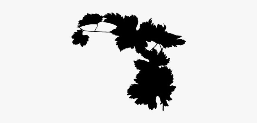 Vine Leaves Png Transparent Images - Silhouette, Png Download