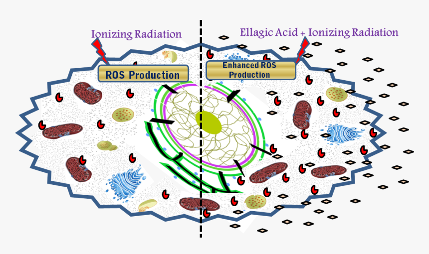 Figure 3j - Circle, HD Png Download