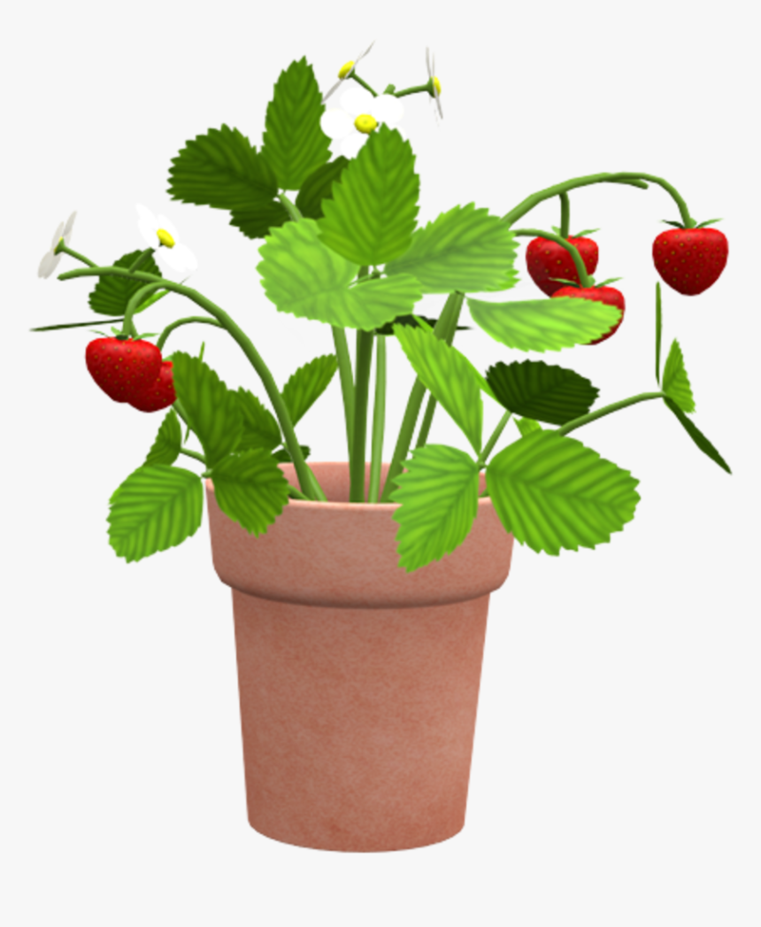 Flowerpot, HD Png Download