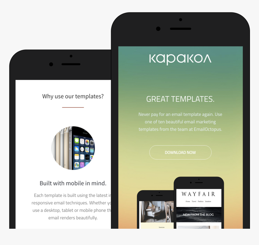 Email Template Of Any Product, HD Png Download