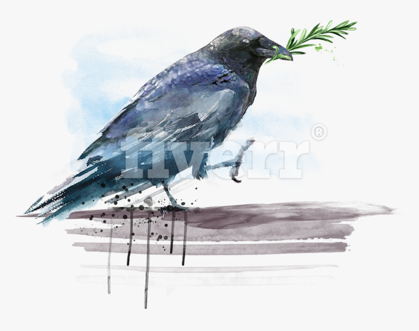 Transparent Watercolor Bird Png - American Crow, Png Download