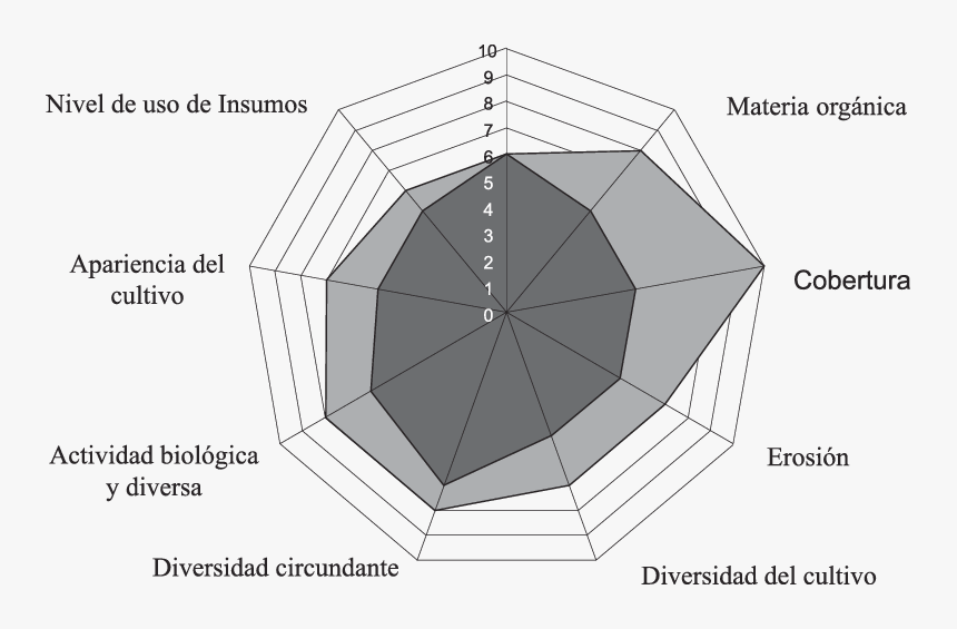 Diagrama De Tela De Araña, HD Png Download