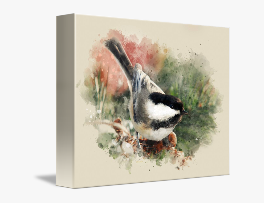 Transparent Chickadee Clipart - Perching Bird, HD Png Download