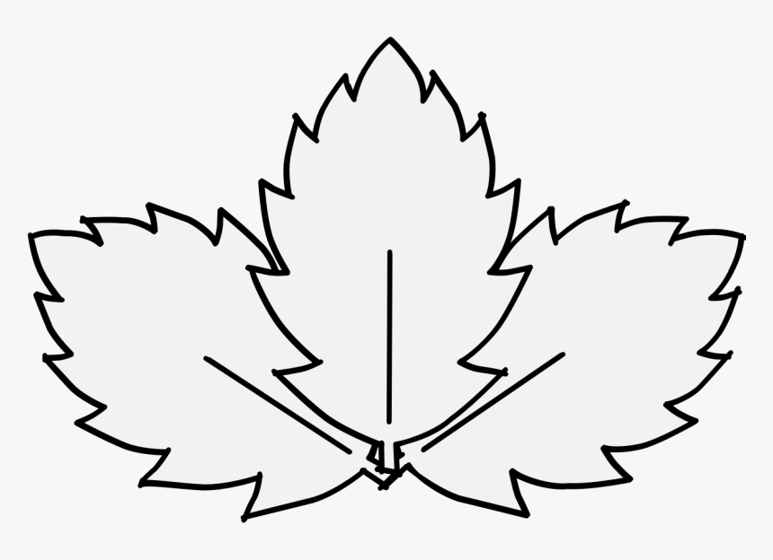 Strawberry Leaf, HD Png Download