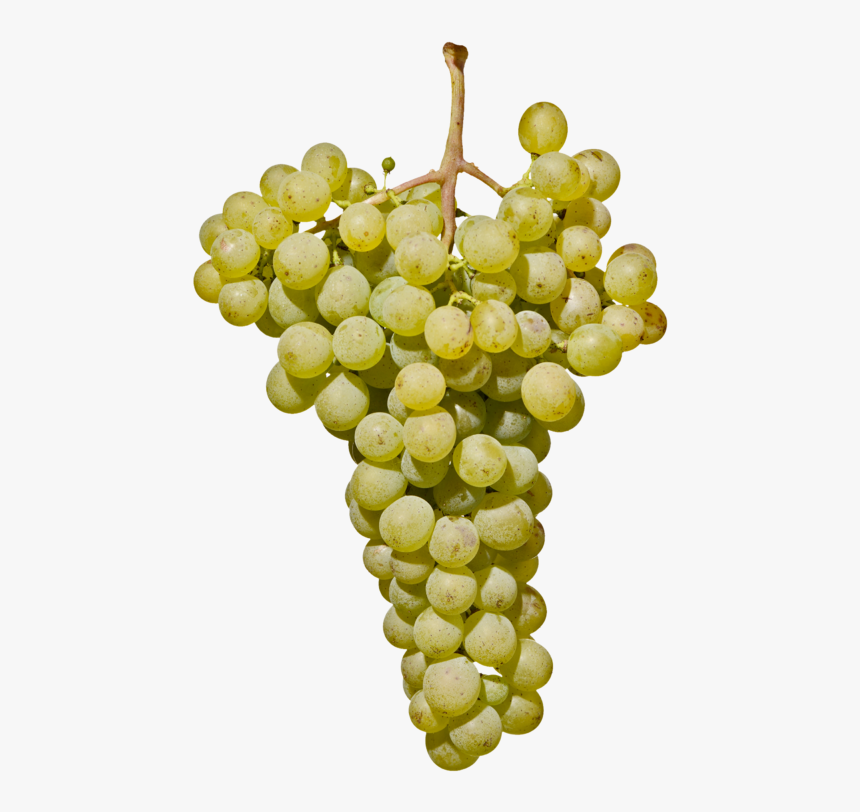 Weißburgunder Südtirol, HD Png Download