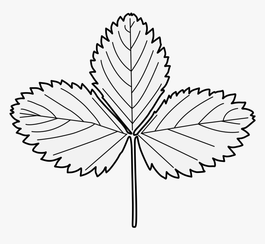 Strawberry Leaves Black And White, HD Png Download