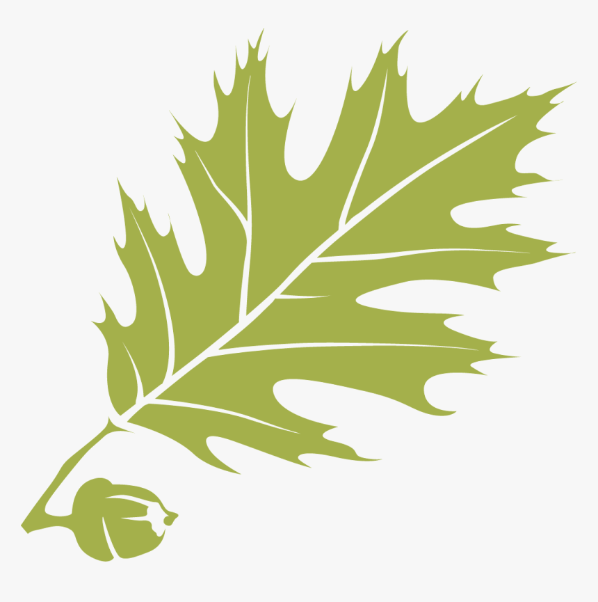 1839 - Thomas College, HD Png Download