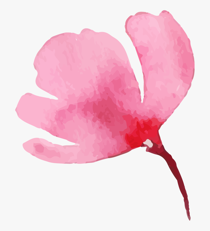 Visual Arts, HD Png Download