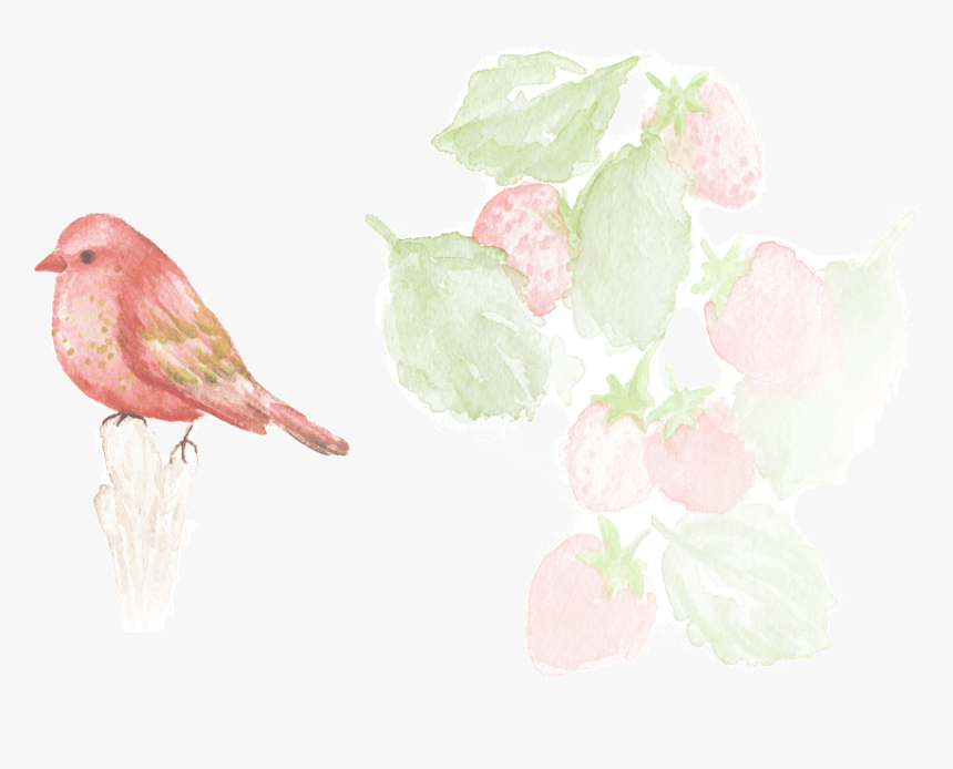 Organic Wild Strawberry - Darkness, HD Png Download