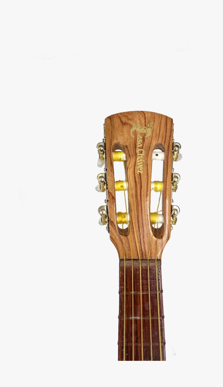 Bass Guitar, HD Png Download