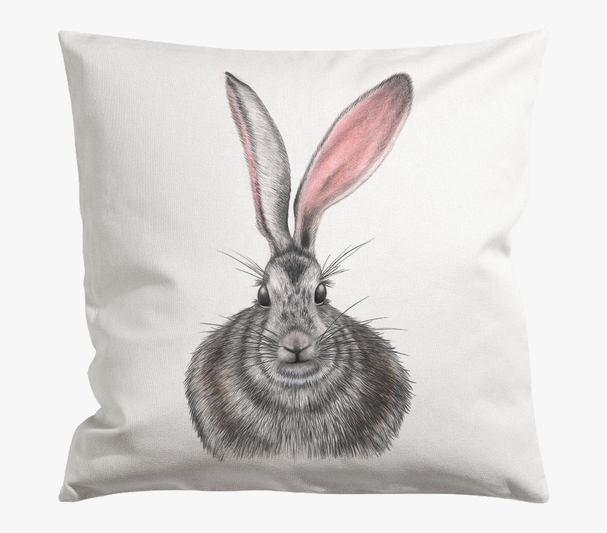 Pillow Henrietta Web 1000x 
 Class, HD Png Download