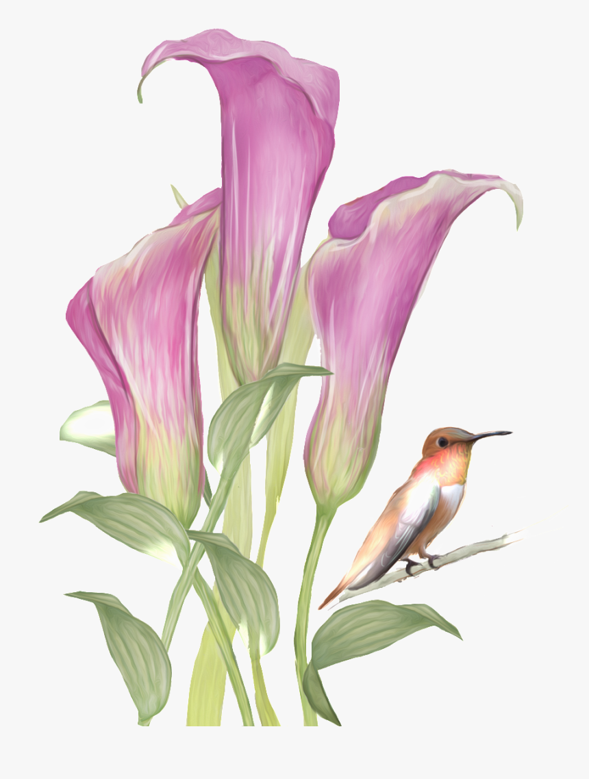 This Graphics Is Hand Drawn Flowers And Birds Pattern - Drawn Flowers With Birds, HD Png Download
