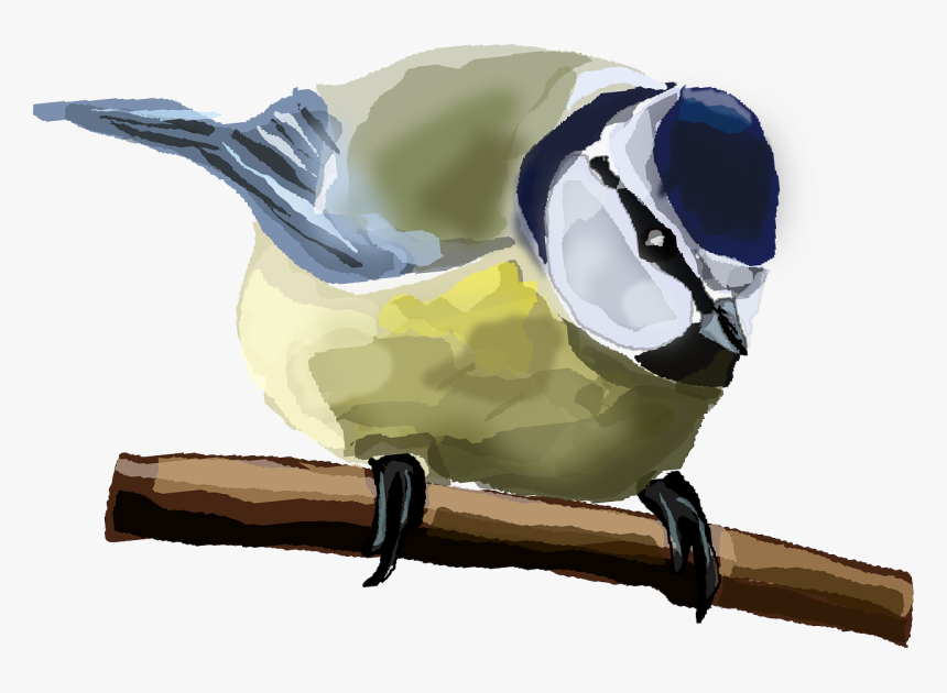 Watercolor Bird Png, Transparent Png