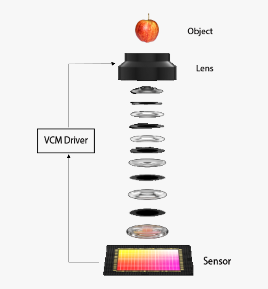 Nectarine, HD Png Download