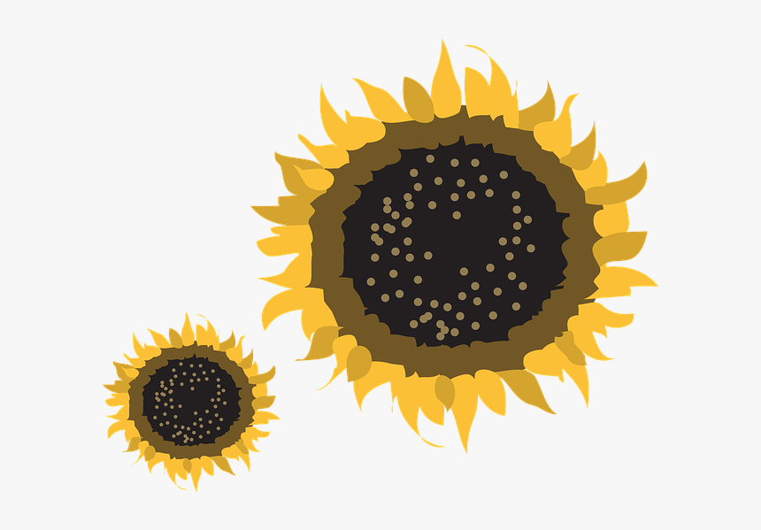 Chemical Energy In Science, HD Png Download