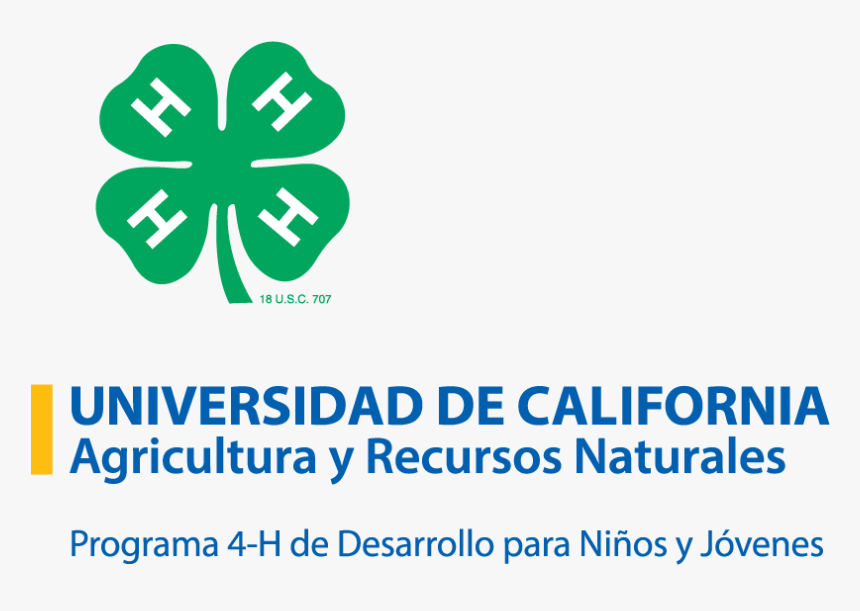 Graphics, HD Png Download