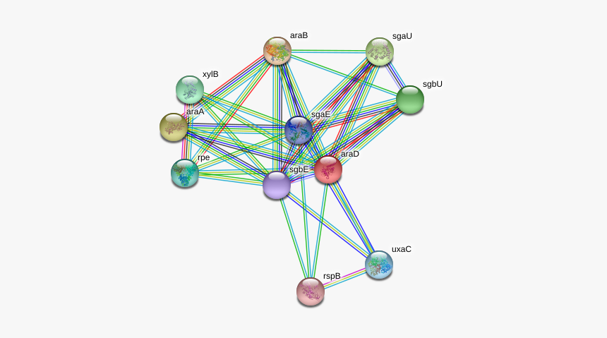 Arad Protein, HD Png Download