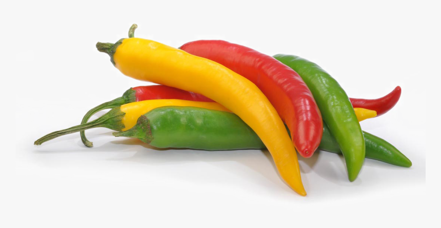 Clip Art Chili Birds Eye Serrano - Chili Pepper, HD Png Download