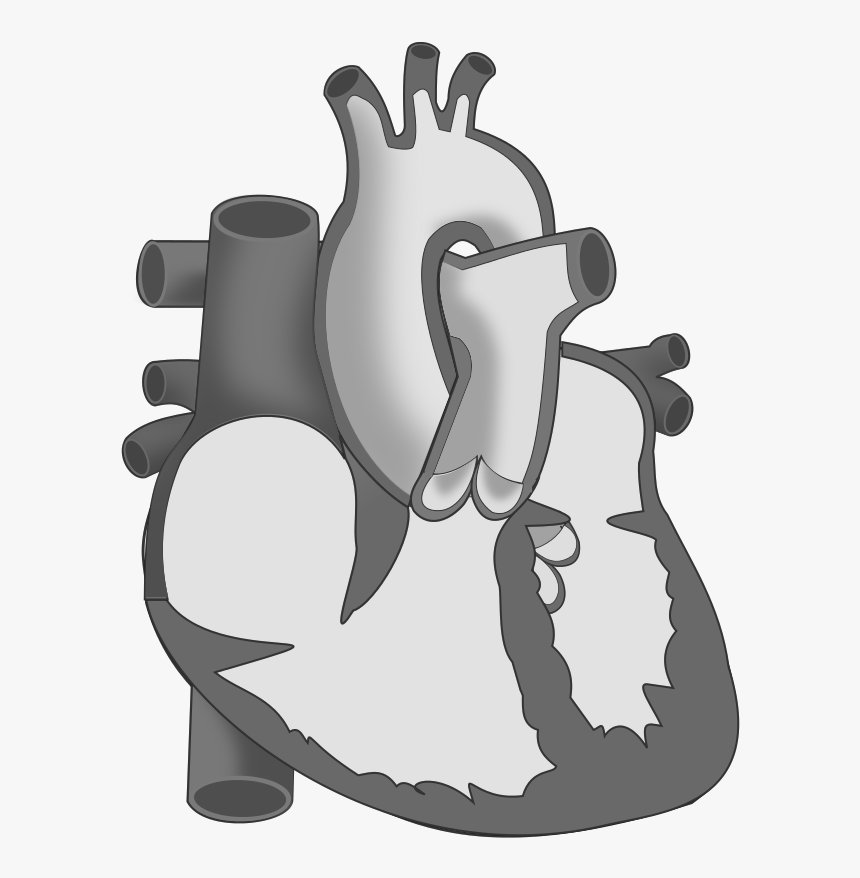 Ch19 Heart Hollow - Cartoon, HD Png Download