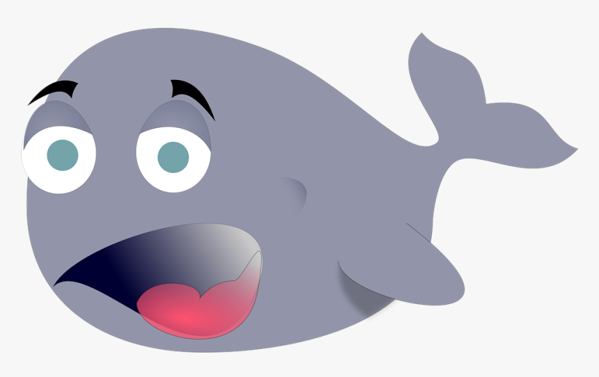 Whale Silly Cartoon - Funny Whale Clipart, HD Png Download