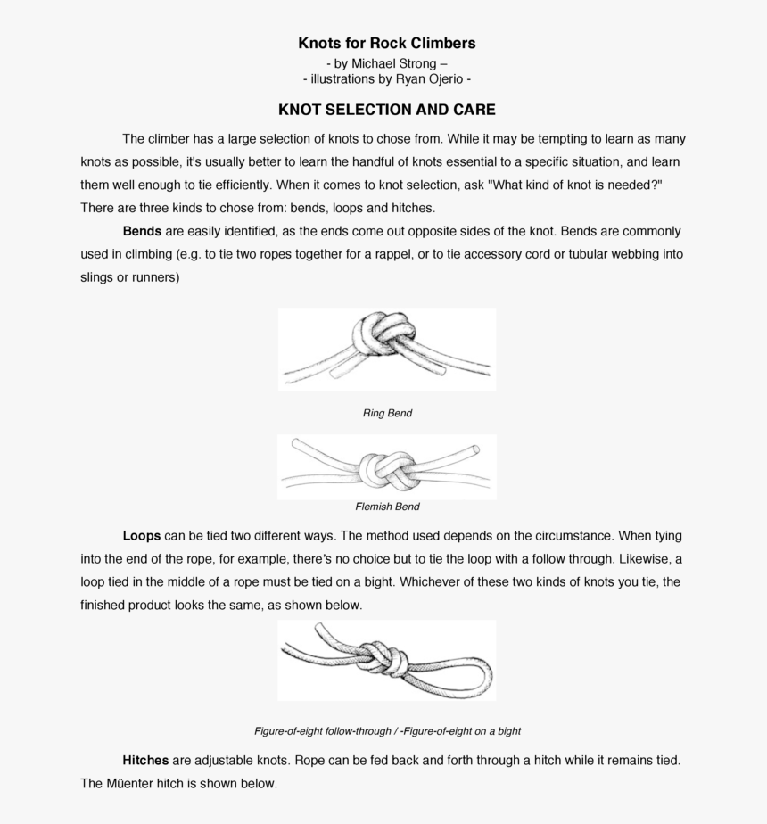 Document, HD Png Download