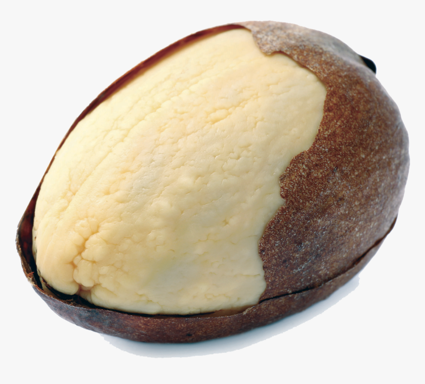 Mexican Hass Avocado Pattern Seeds For Exports, HD Png Download