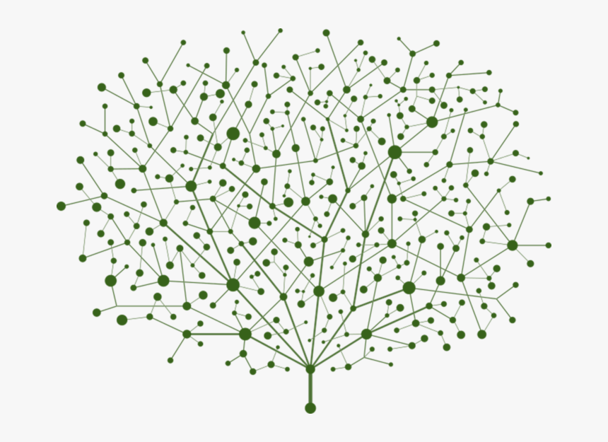 Vector Of Points And Lines Of Trees Abstract Graphics, HD Png Download