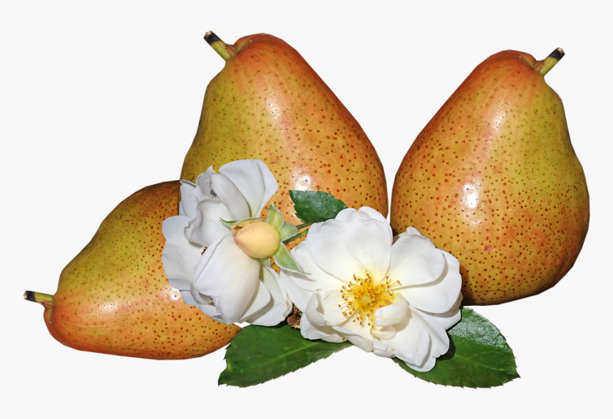 Asian Pear, HD Png Download