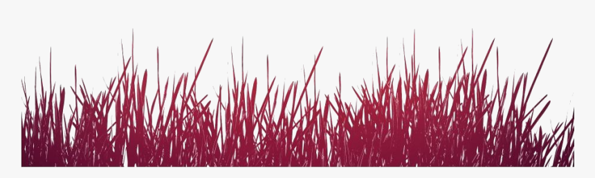 Seaweed Png Transparent Images - Grass, Png Download