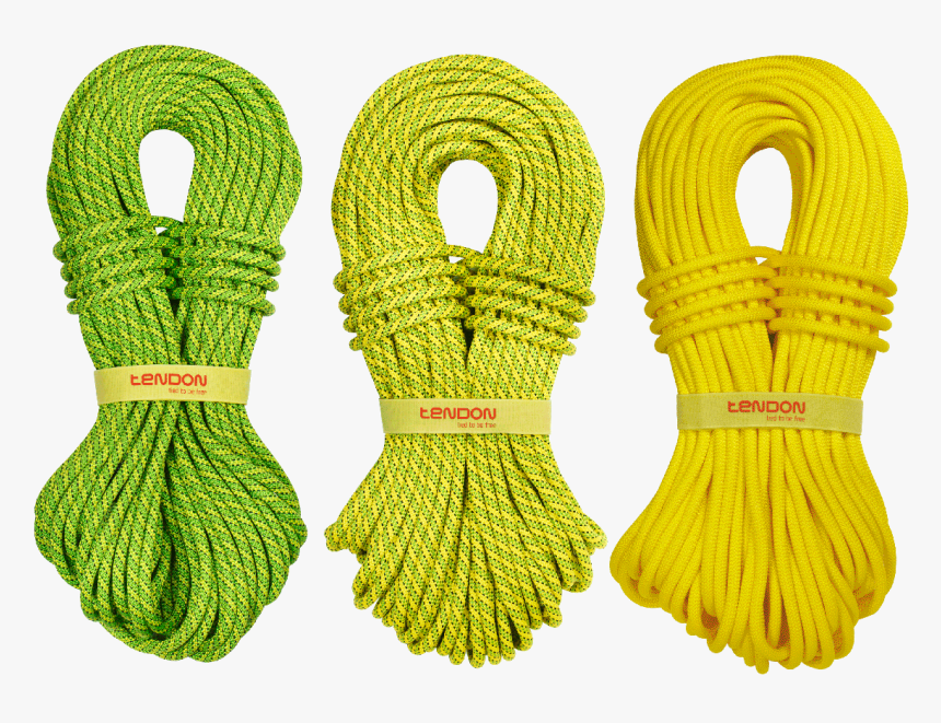 Green Tendon Ambition, HD Png Download