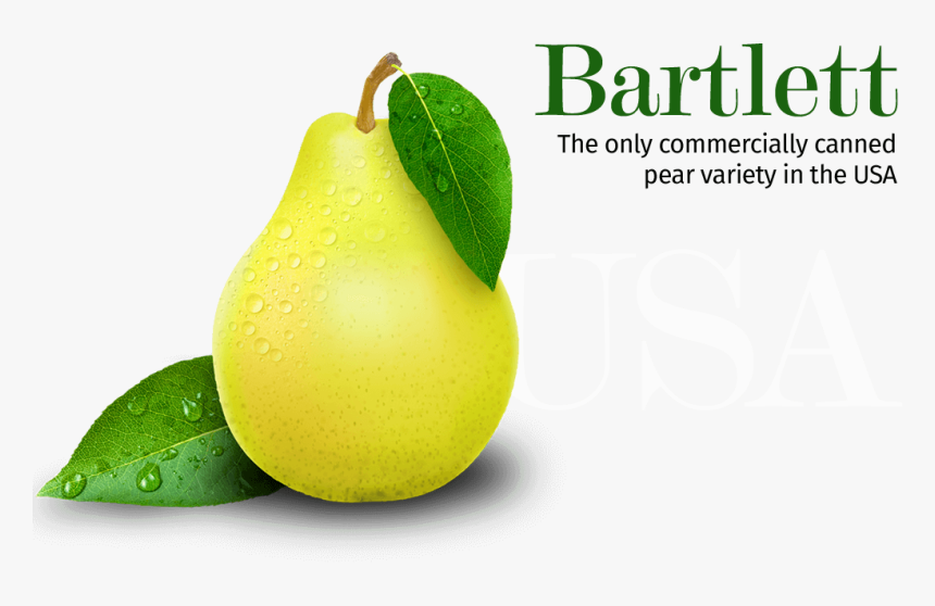 Graphic Panel - Pear, HD Png Download