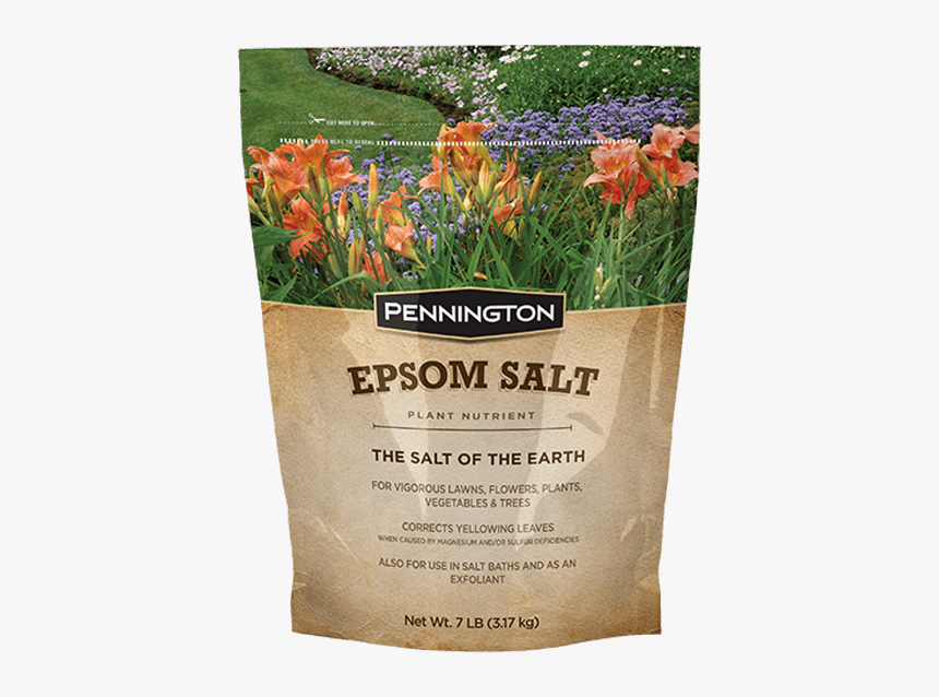 Butterfly Bush Png, Transparent Png