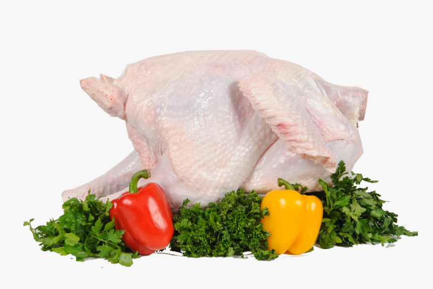 Transparent Thanksgiving Food Png - Turkey Meat Png, Png Download