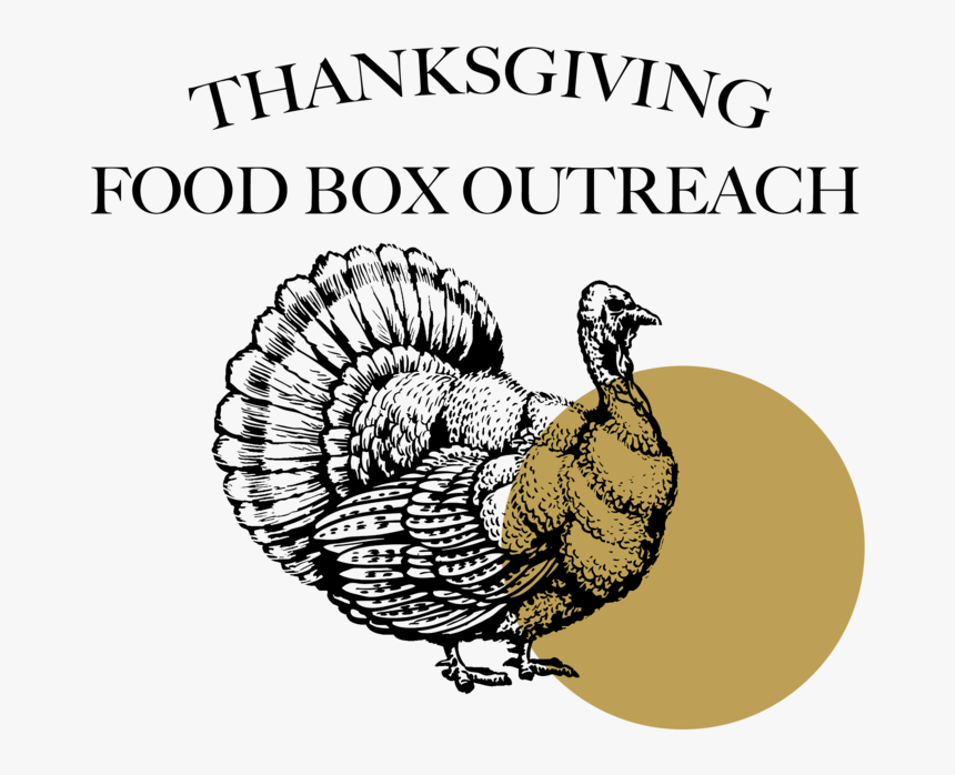 Thanksgiving Flier - Illustration, HD Png Download